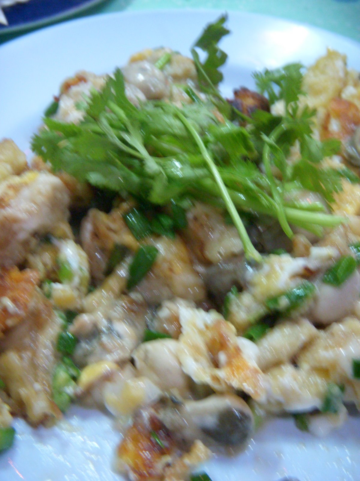 [DSCN2169.JPG]