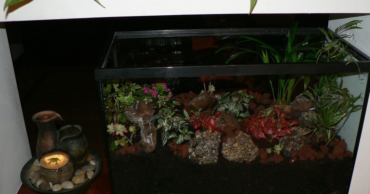 GANBARA: Acuario jardín de interior