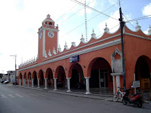 El Dzidzantunense