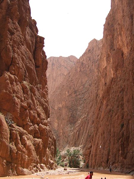 [garganta-del-todra.jpg]