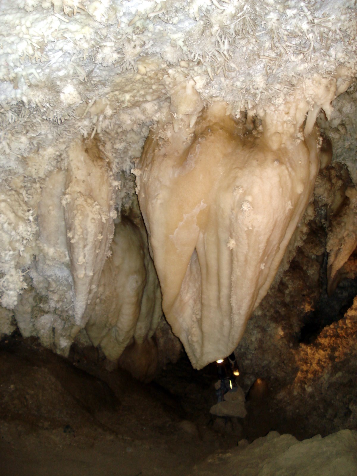 [DSC00816.JPG]