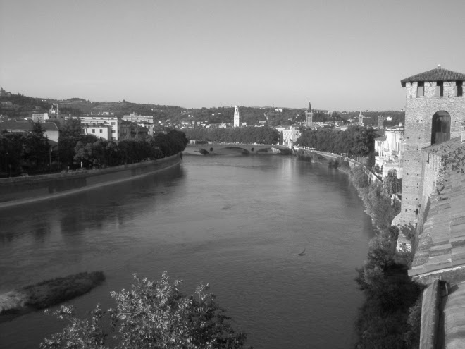 Castelvecchio Point of View in Verona (Italy)
