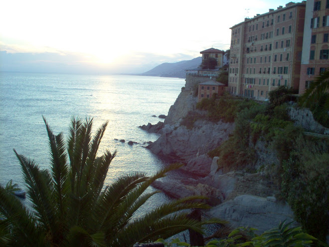A Piece of Ligurian Coast (Italy)