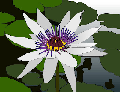 Water Lily Drawing