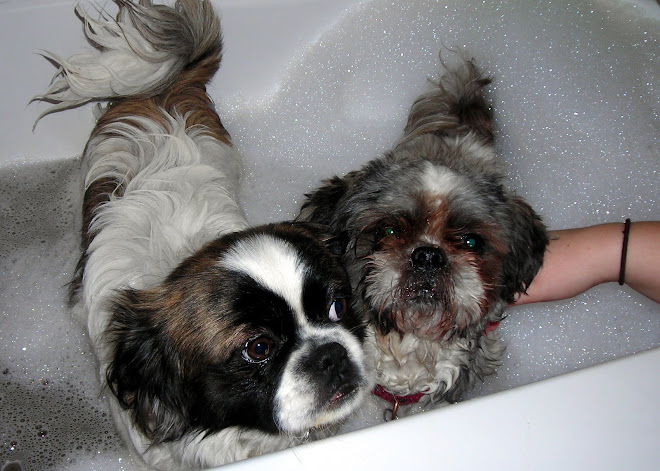 Koby and Awsom-o