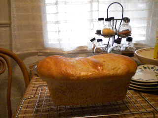 Rosemary and Sage Bread