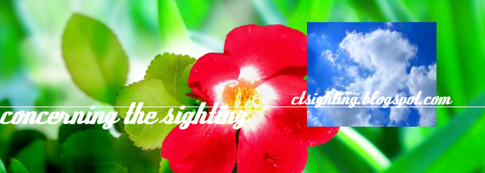concerning the sighting