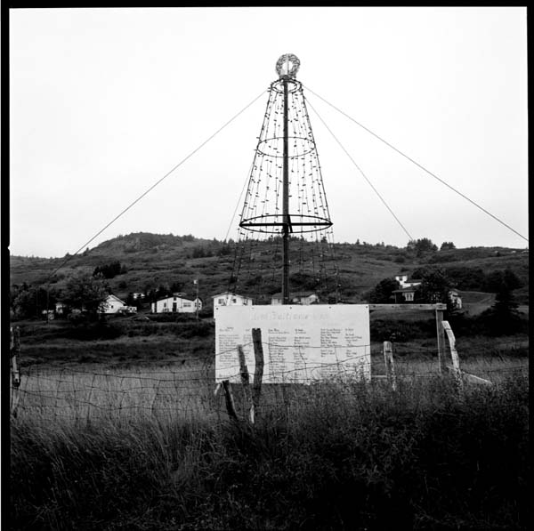 [ferryland+tree012.jpg]