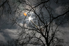 Estrella de luz