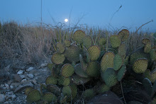 Protagonista de la noche