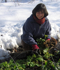 Margo and the "Snow Greens"
