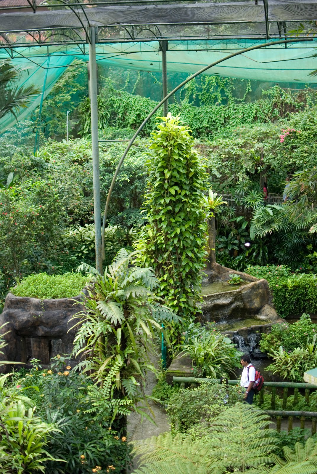 Butterfly Park Kl
