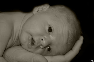 Samantha Wilson Photography Samantha Wilson Photography