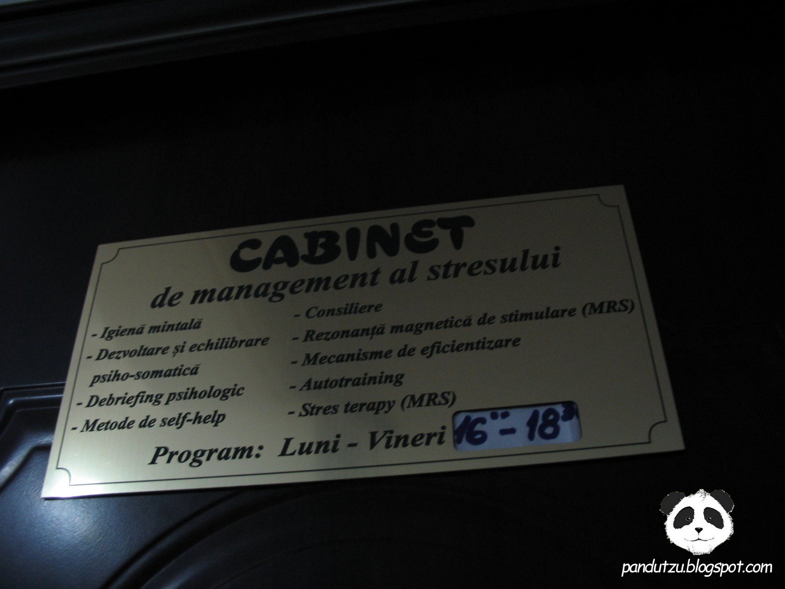 [Picture+001+copy.jpg]