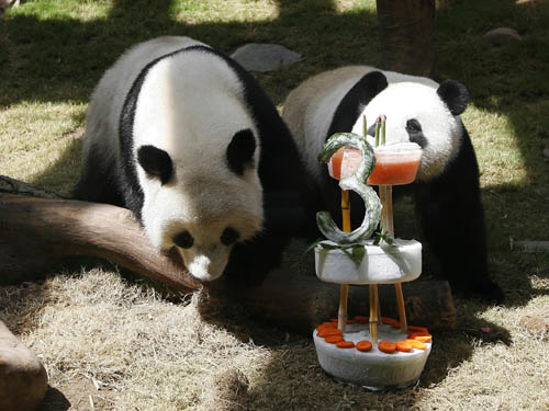 [SCM_News_SCMP_12AUG08_NS_PANDA2.jpg]