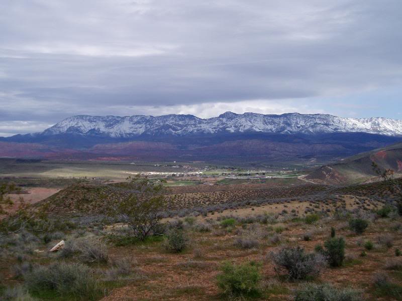 Margy's Musings Toquerville, Utah