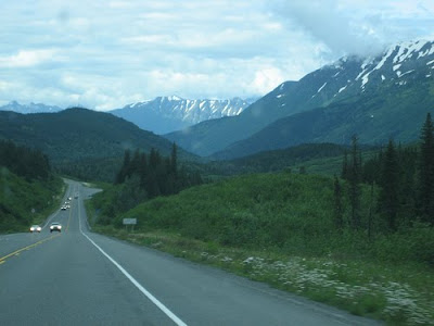 margy musings kenai