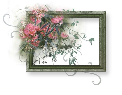 paint shop pro picture frames free download paint shop pro picture frames free download