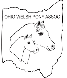 Ohio Welsh Pony Association
