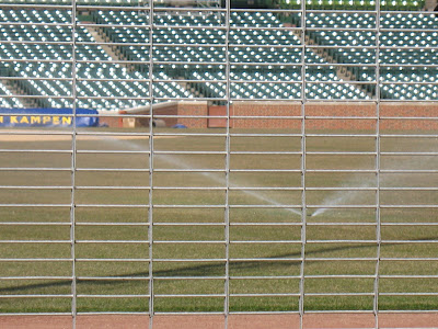 Wrigley Field Grass 1