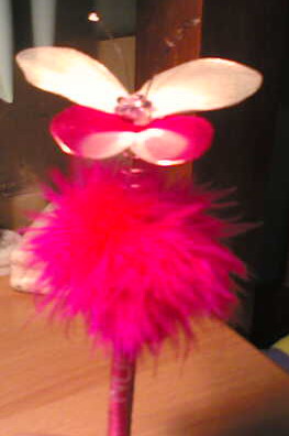 Butterfly pen with fur and name $3.50