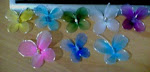 Butterfly samples & colours