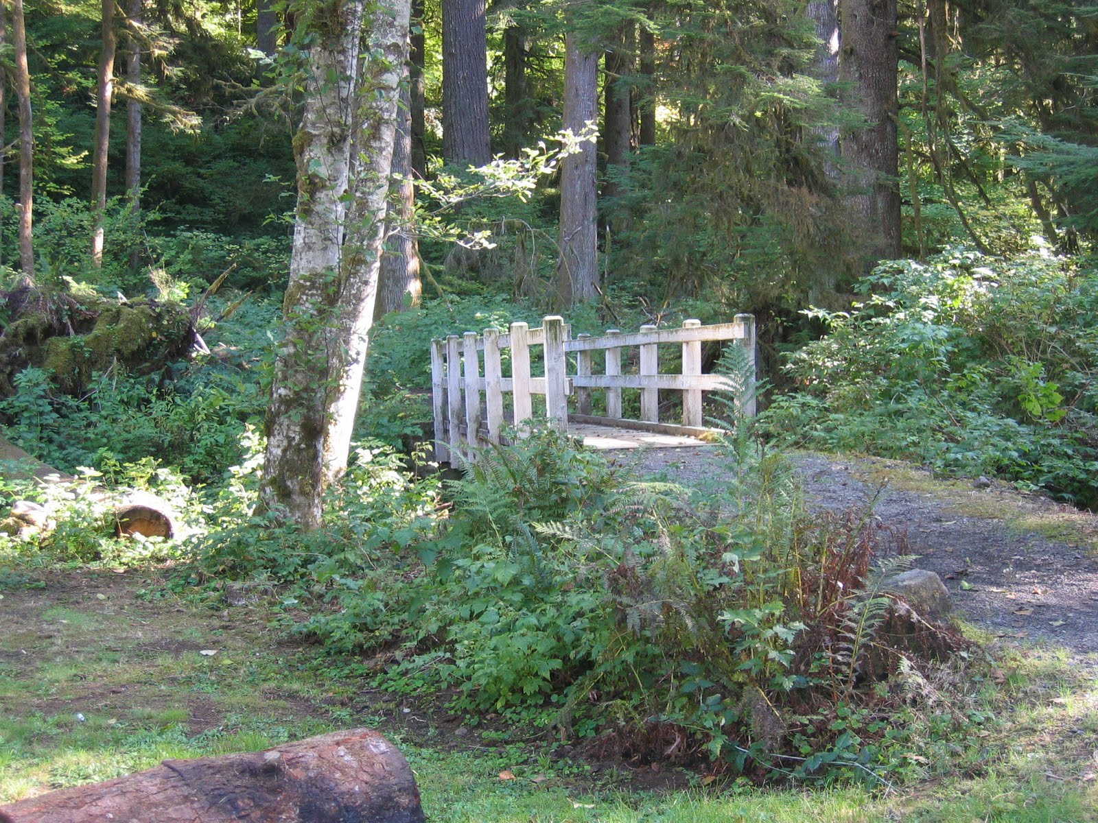 [Oct+2009+005.JPG]
