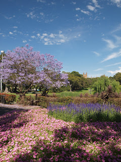 SYDNEY Inner West及海邊風景