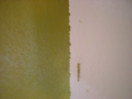 Our paint job