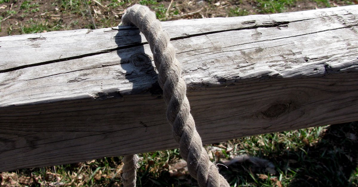 Equine Tips Horse Training & Care How to Tie a Lead Rope