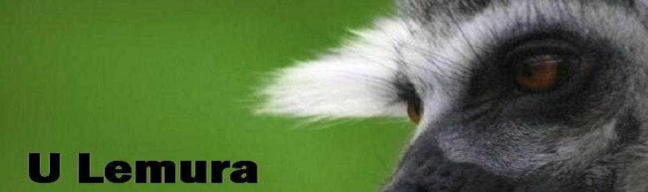 U Lemura