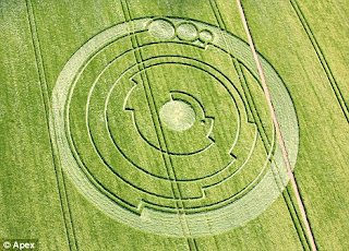 crop circle crop circle