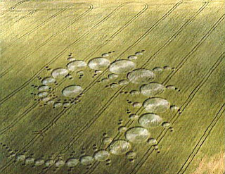crop circle crop circle