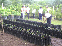 vivero del IETAEM