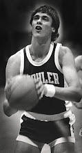 joe wolf