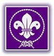 WORLD SCOUT WEB SITE