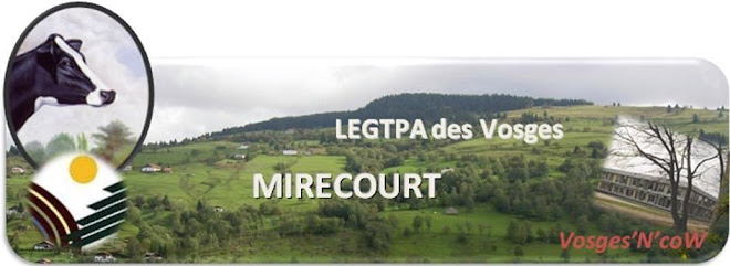 LEGTPA des Vosges - Mirecourt