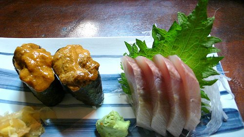 [2684055033_cd6b2e4682.jpg]