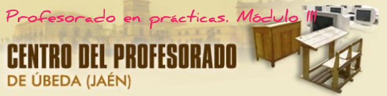 PROFESORADO EN PRÁCTICAS