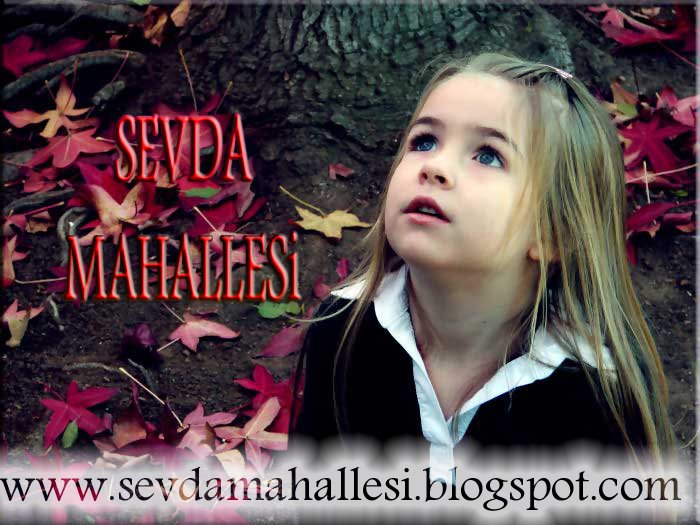 SEVDA MAHALLESi AŞKA DAİR HERŞEY