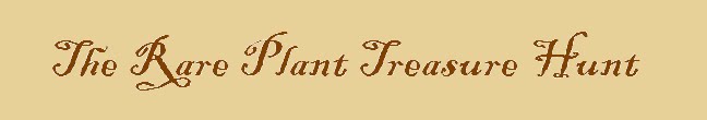 The Rare Plant Treasure Hunt