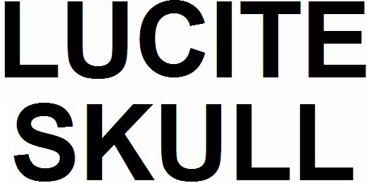 LUCITE SKULL