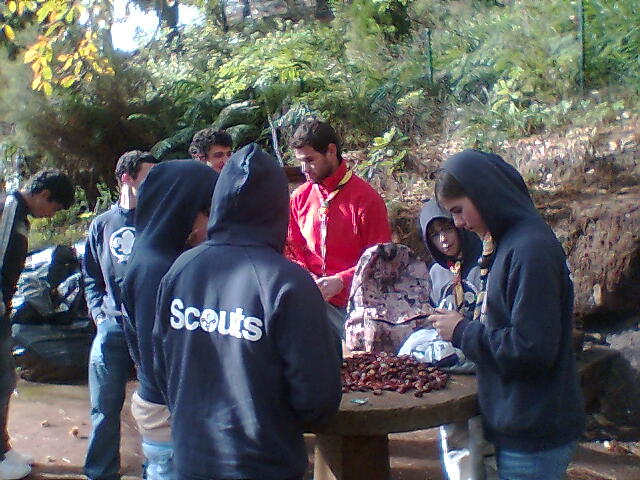 [Img000.jpg]