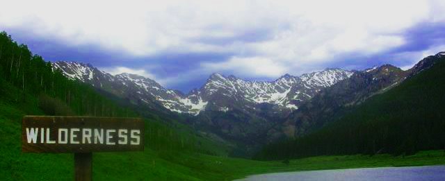 I'm Alone In The Wilderness
