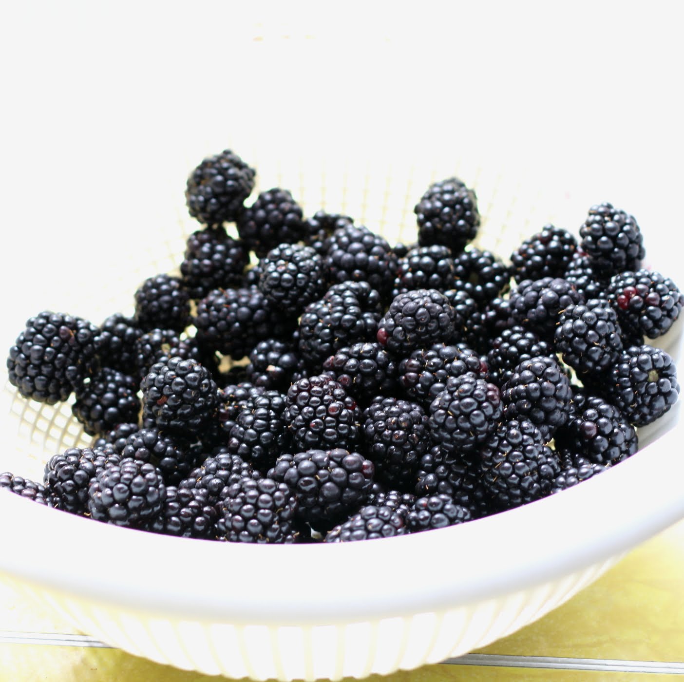 ShowFood Chef Blackberry, Blueberry, Port Wine Jam Sing it!