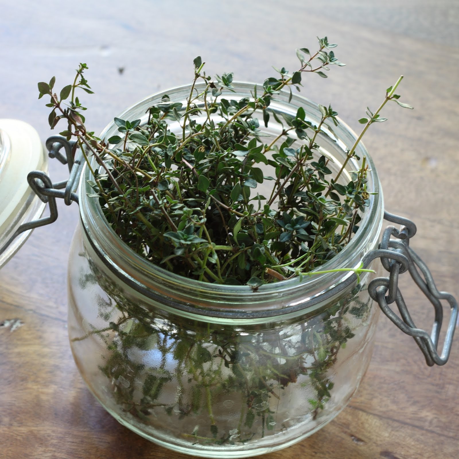 ShowFood Chef Apple Thyme Butter