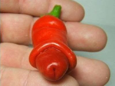 Colla Wars Hot+chili+shaped+dick+Peter+Peppers+0