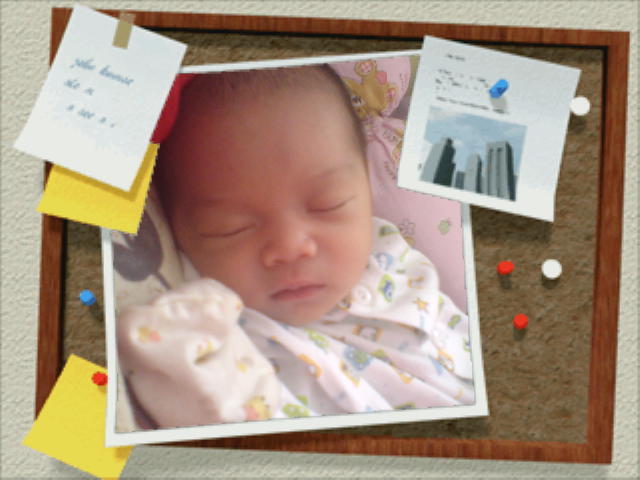 My New Life