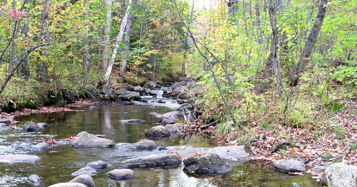 All The Latest Dirt Bald Mountain Weld, Maine