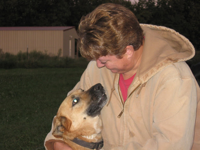 Teddie From Black Dog Ranch